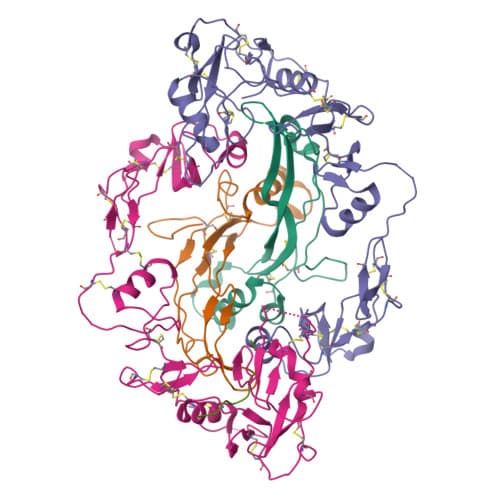 Representative ribbon structure of Follistatin-344 (PDB 2P6A)