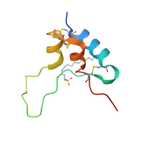 Ribbon structure of native IGF-1 (PDB 1GZR), shown as a labeled proxy for IGF-1 LR3